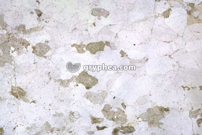 Gabbro rubané x3,5 - gryphea.org